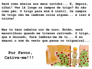 Será como música aos meus ouvidos... E, depois,Será como música aos meus ouvidos... E, depois,
olhai! Ves lá longe os campos de trigo? Eu nãoolhai! Ves lá longe os campos de trigo? Eu não
como pão. O trigo para mim é inútil. Os camposcomo pão. O trigo para mim é inútil. Os campos
de trigo não me lembram coisa alguma... e isso éde trigo não me lembram coisa alguma... e isso é
triste!triste!
Mas tu tens cabelos cor de ouro. Então, seráMas tu tens cabelos cor de ouro. Então, será
maravilhoso quando me tiveres cativado. O trigo,maravilhoso quando me tiveres cativado. O trigo,
que é dourado, fará lembrar-me de ti... E euque é dourado, fará lembrar-me de ti... E eu
amarei o som do vento que passa no trigueiral...amarei o som do vento que passa no trigueiral...
Por Favor,Por Favor,
Cativa-me!!!Cativa-me!!!
 