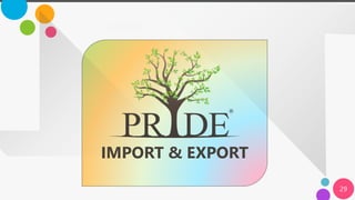 Pride globaltech-services-pvt.-ltd.-profile-converted