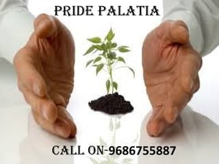 Pride Palatia
Call On-9686755887
 