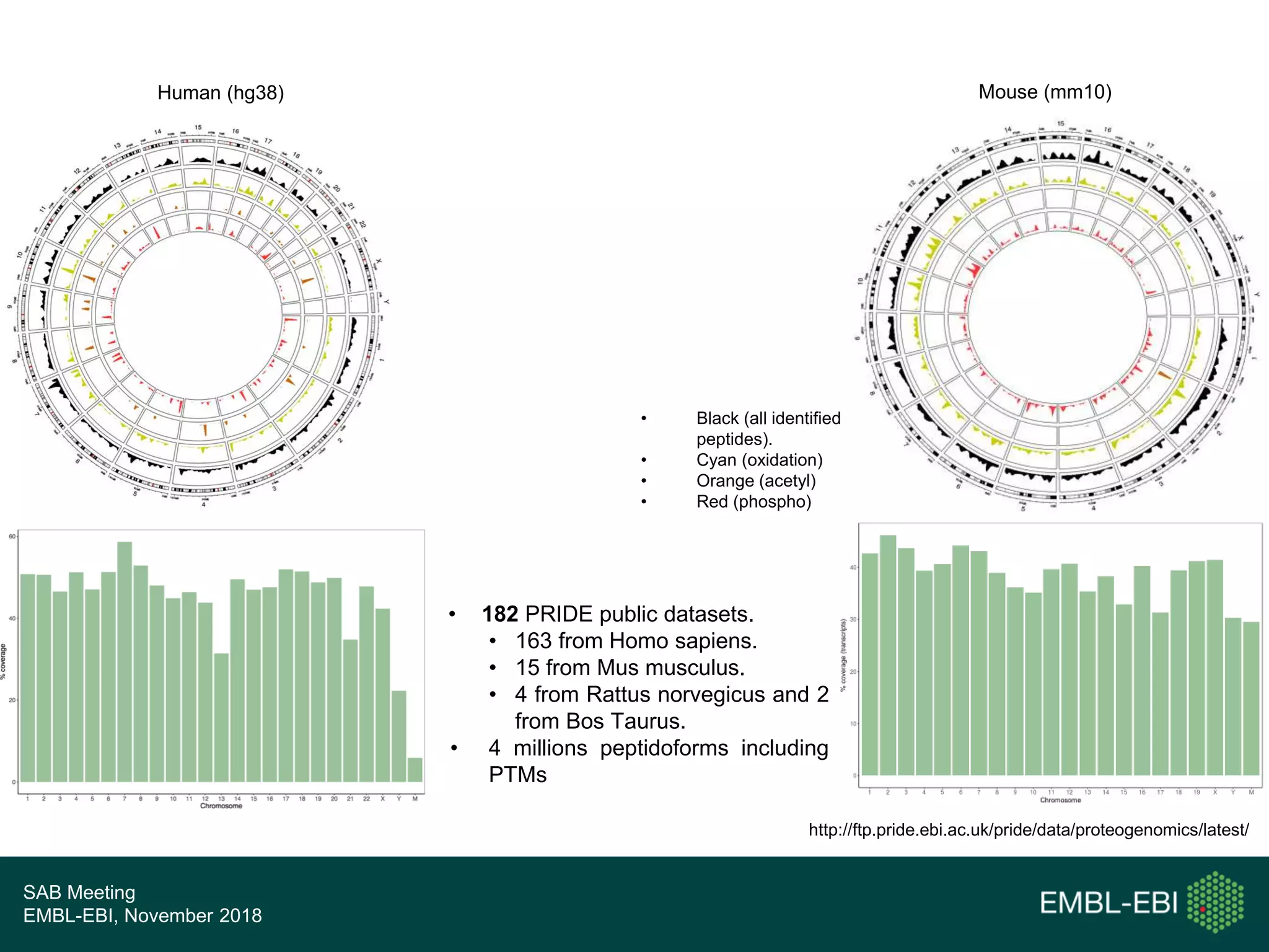 SAB Meeting
EMBL-EBI, November 2018
Human (hg38) Mouse (mm10)
• Black (all identified
peptides).
• Cyan (oxidation)
• Orange (acetyl)
• Red (phospho)
• 182 PRIDE public datasets.
• 163 from Homo sapiens.
• 15 from Mus musculus.
• 4 from Rattus norvegicus and 2
from Bos Taurus.
• 4 millions peptidoforms including
PTMs
http://ftp.pride.ebi.ac.uk/pride/data/proteogenomics/latest/
 