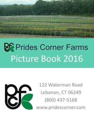 Prides Corner Farms
Picture Book 2016
122 Waterman Road
Lebanon, CT 06249
(800) 437-5168
www.pridescorner.com
 