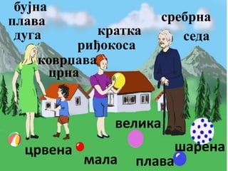 седа
риђокоса
кратка
црна
бујна
плава
коврџавa
сребрна
дуга
мала
црвена шарена
велика
плава
 