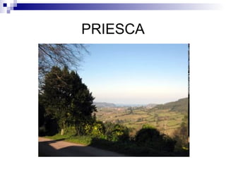 PRIESCA 