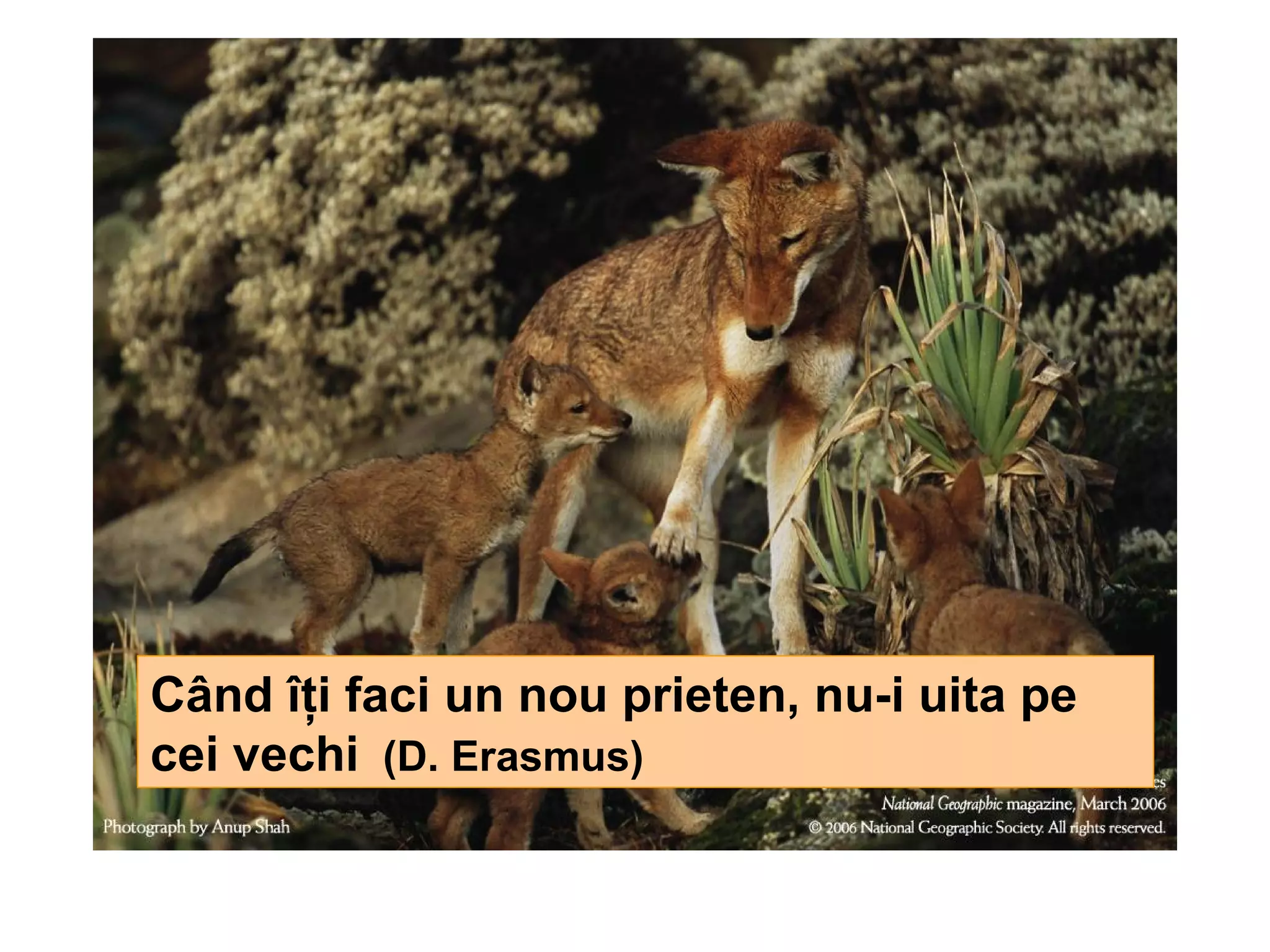 Când îţi faci un nou prieten, nu-i uita pe cei vechi   (D. Erasmus) 