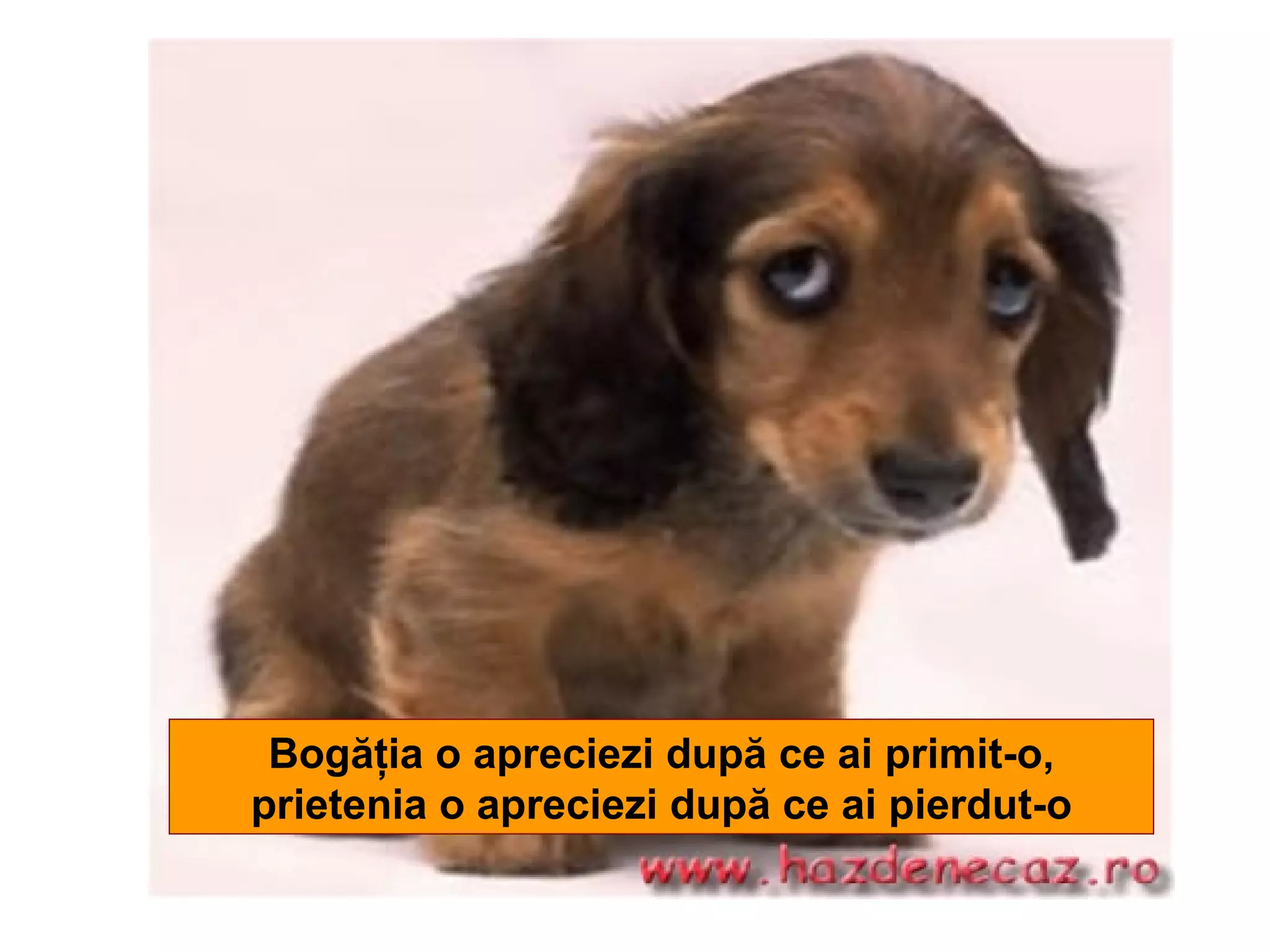 Bogăţia o apreciezi după ce ai primit-o, prietenia o apreciezi după ce ai pierdut-o 