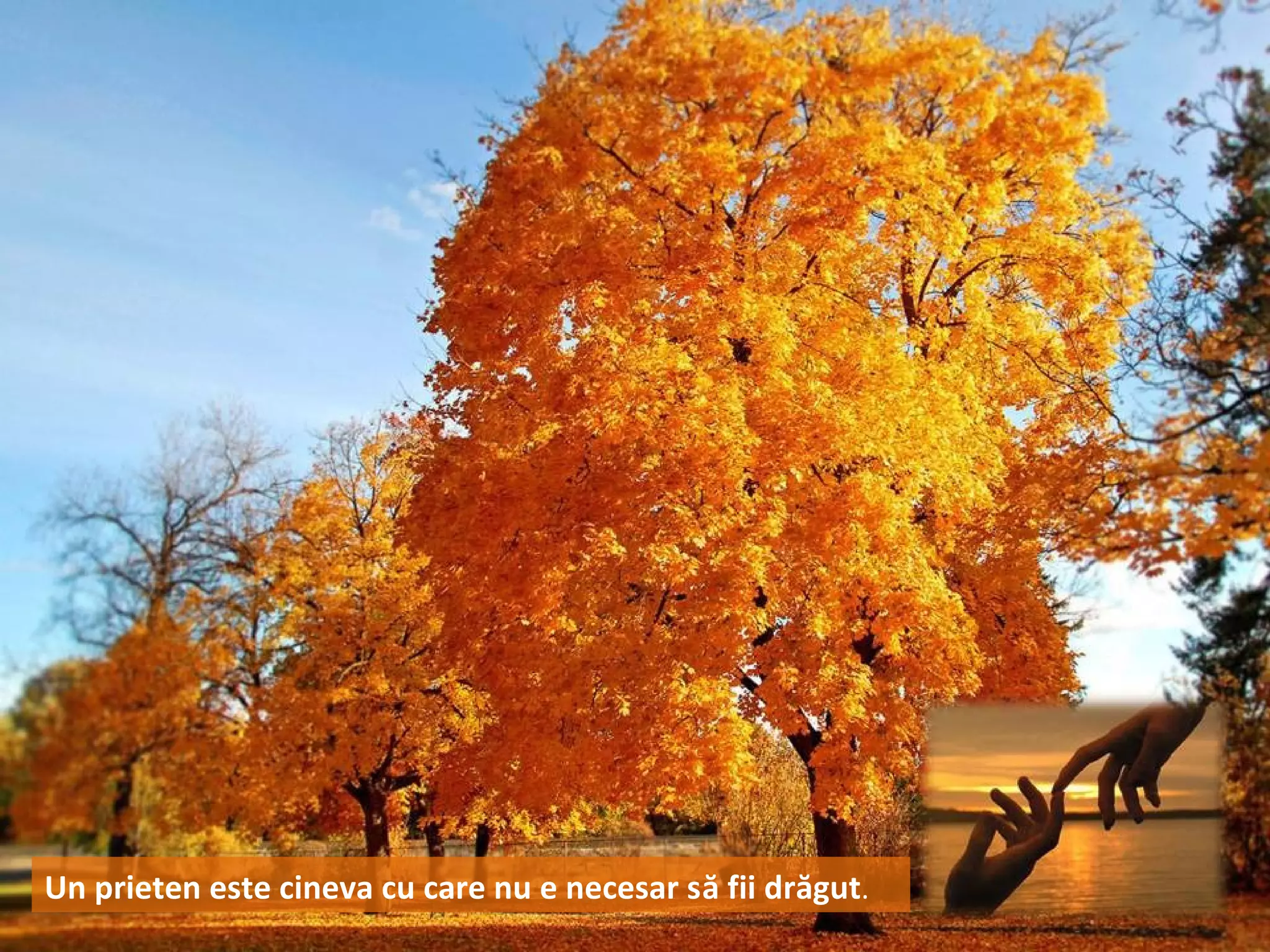 Un prieten este cineva cu care nu e necesar să fii drăgut.
 