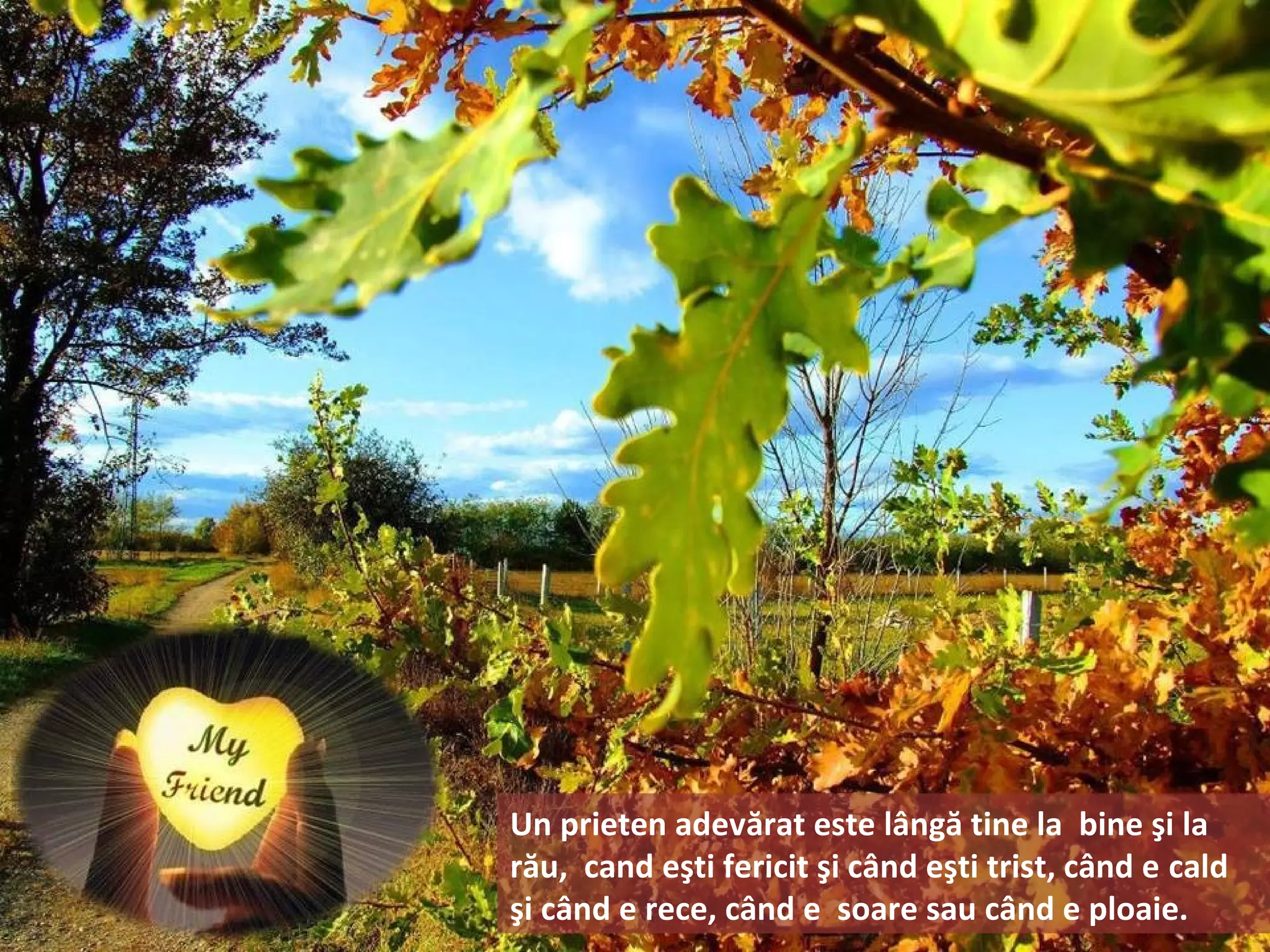 Un prieten adevărat este lângă tine la bine şi la
rău, cand eşti fericit şi când eşti trist, când e cald
şi când e rece, când e soare sau când e ploaie.
 