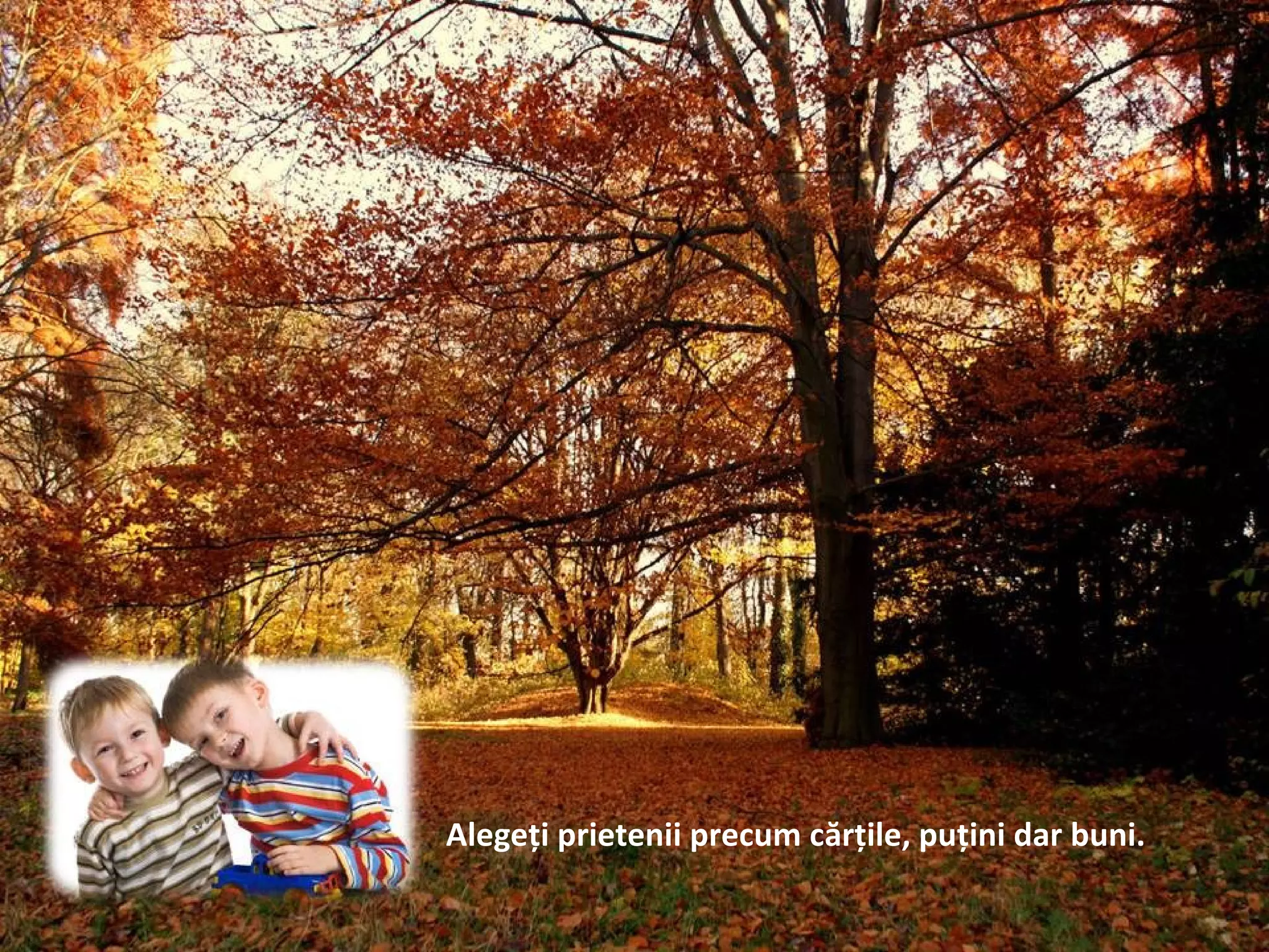 Alegeţi prietenii precum cărţile, puţini dar buni.
 