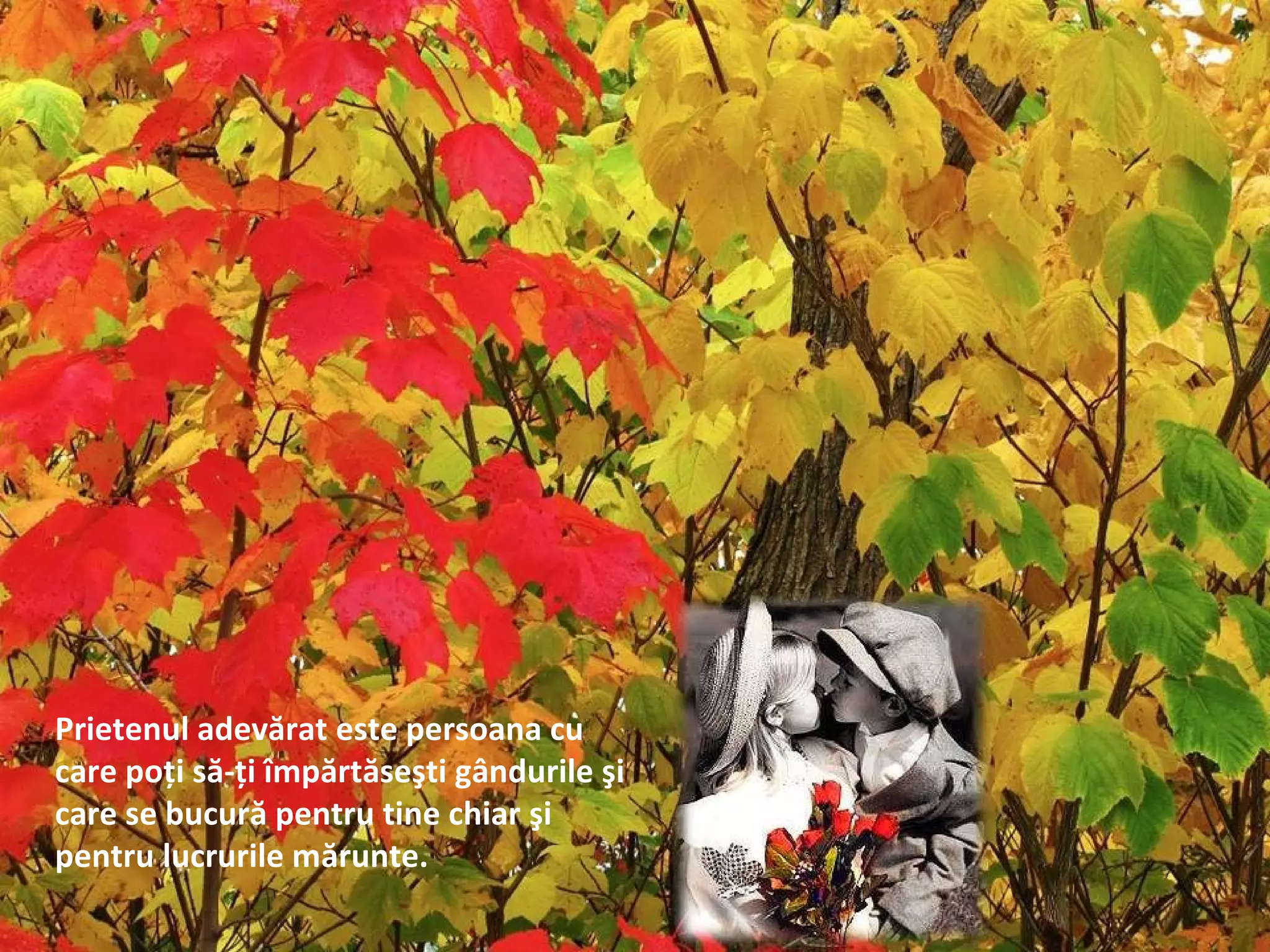 Prietenul adevărat este persoana cu
care poţi să-ţi împărtăseşti gândurile şi
care se bucură pentru tine chiar şi
pentru lucrurile mărunte.
 