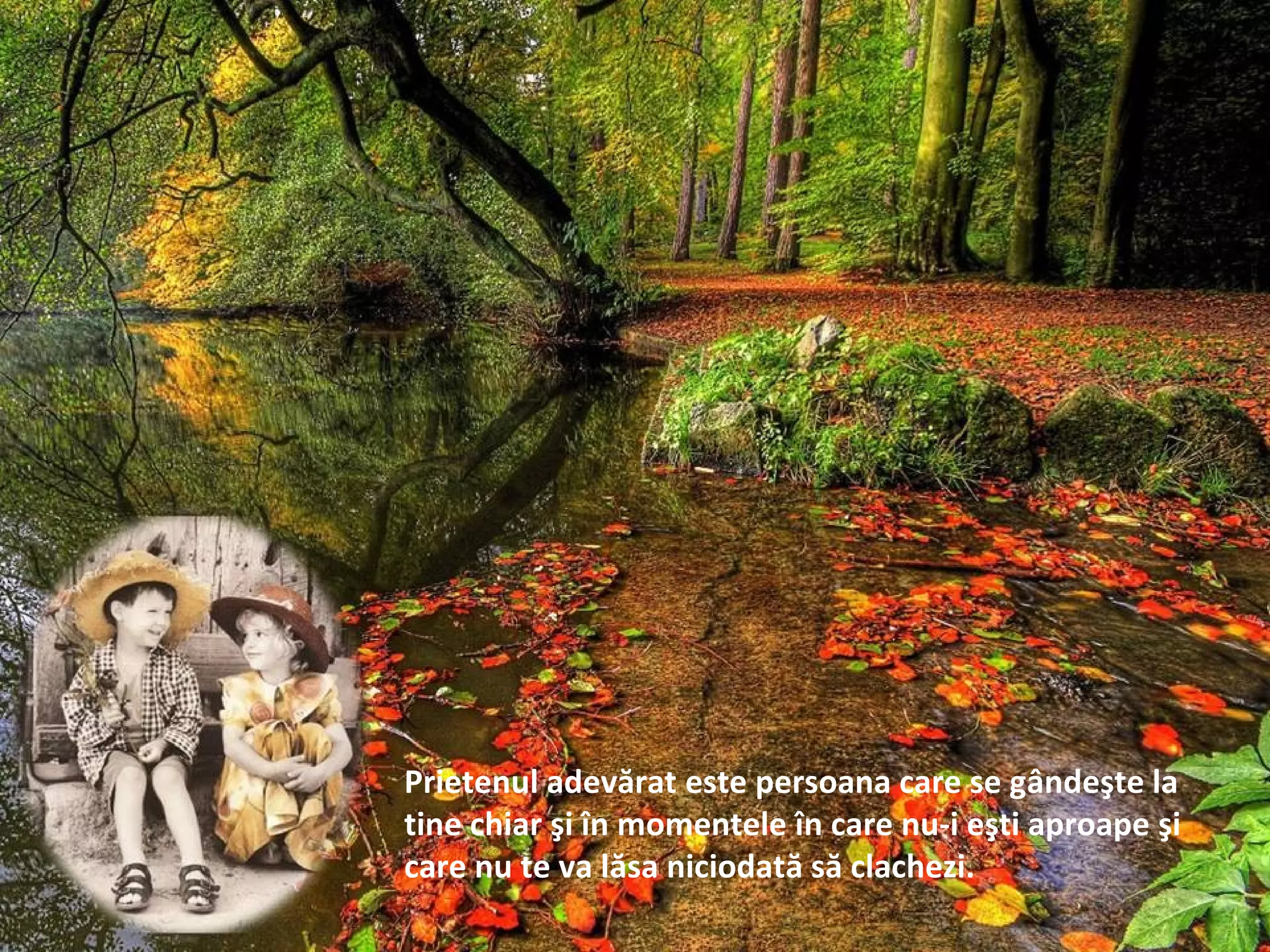 Prietenul adevărat este persoana care se gândeşte la
tine chiar şi în momentele în care nu-i eşti aproape şi
care nu te va lăsa niciodată să clachezi.
 