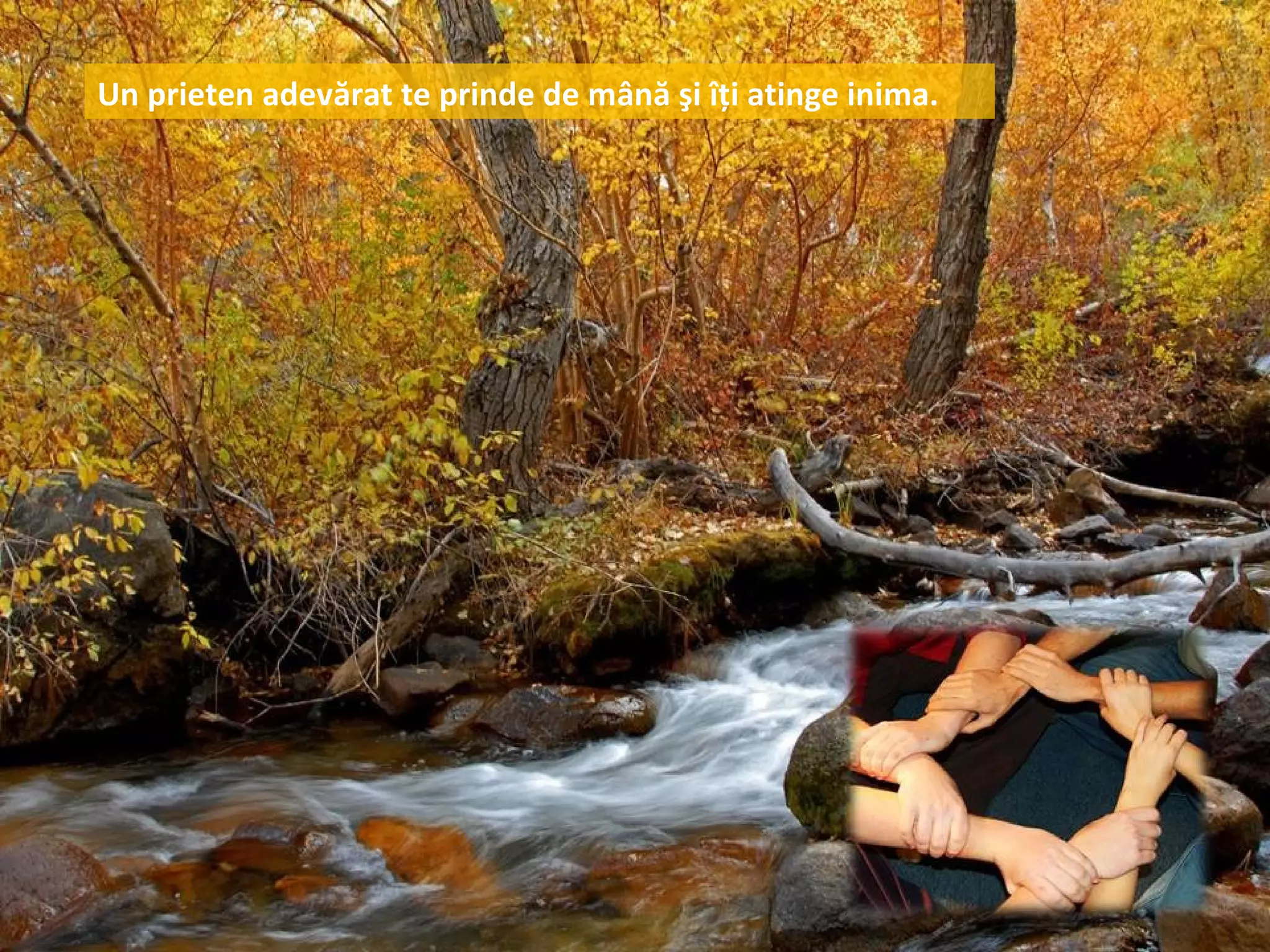 Un prieten adevărat te prinde de mână şi îţi atinge inima.
 