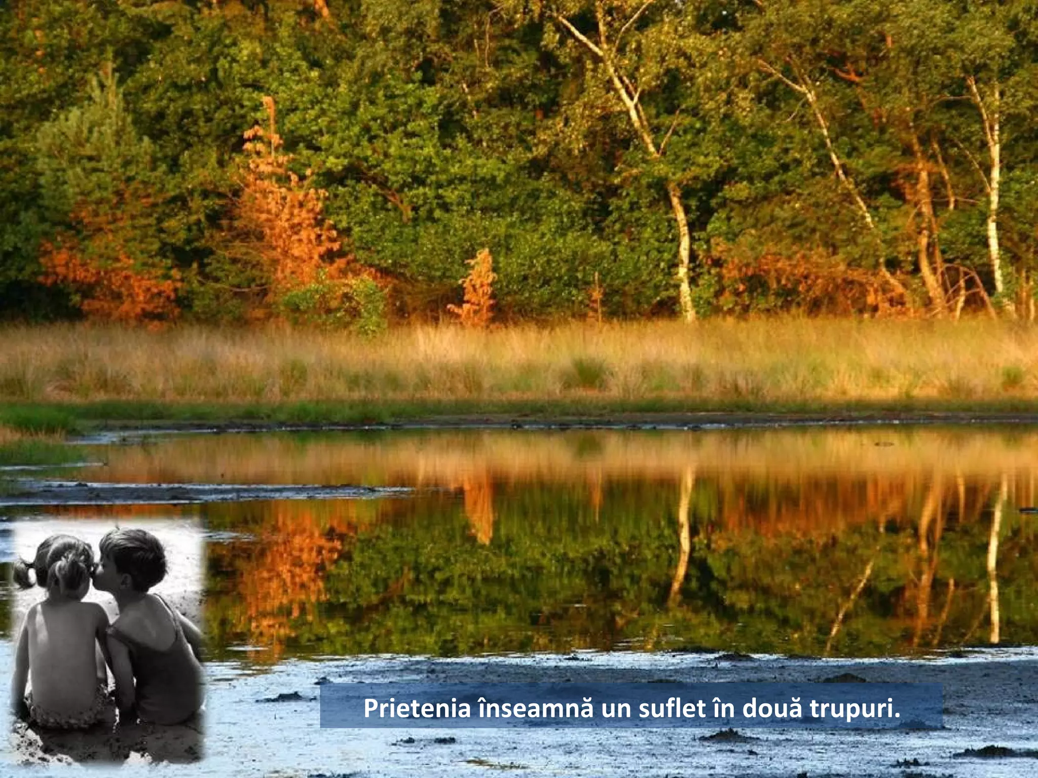 Prietenia înseamnă un suflet în două trupuri.
 