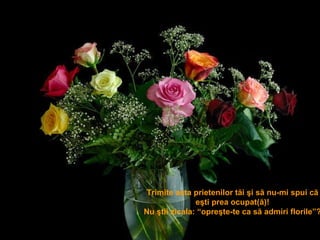 Trimite asta prietenilor tăi şi să nu-mi spui că eşti prea ocupat(ă)! Nu ştii zicala :   “opre şte-te ca să admiri florile ”? 