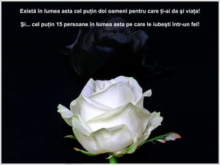 Există în lumea asta cel puţin doi oameni pentru care ţi-ai da şi viaţa! Şi... cel puţin 15 persoane în lumea asta pe care le iubeşti într-un fel! 