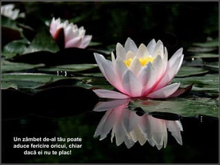 Un zâmbet de-al tău poate aduce fericire oricui, chiar dacă ei nu te plac! 