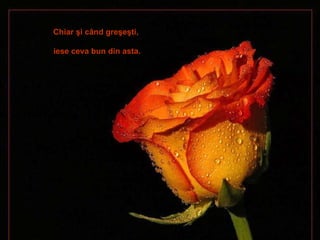 Chiar şi când greşeşti ,  iese ceva bun din asta . 