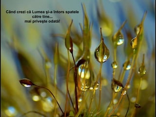 Când crezi că Lumea şi-a întors spatele către tine... mai priveşte odată! 