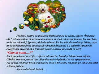 	Probabil pentru că înţelegea limbajul meu de câine, spuse: “Îmi pare rău”. Mi-a explicat că aceasta era munca ei şi că voi merge într-un loc mai bun, unde nu voi mai fi ignorat, nici abandonat. Un loc plin de lumină şi iubire, care nu se aseamănă deloc cu această viaţă pământească. Cu ultimele fărâme de energie am încercat să îi transmit printr-o bătaie de coadă că acel:“Cum ai putut…?”Nu îi era adresat ei, ci ţie… Îţi era adresat ţie, bunul şi iubitul meu stăpân. Gândul meu era pentru tine. Şi la tine mă voi gândi şi te voi aştepta mereu.Fie ca toţi cei dragi ţie să te iubească şi să-ţi fie loiali, cel puţin pe cât te-am iubit şi ţi-am fost eu.	Nu te voi uita niciodată… 