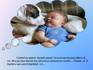 	Curând au apărut “puiuţii umani” şi eu m-am bucurat alături de voi. M-a fascinat duioşia lor, mirosul şi culoarea lor rozulie… Vroiam  să  îi îngrijesc aşa cum îi îngrijeaţi  voi…