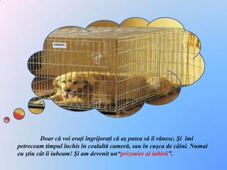 	Doar că voi eraţi îngrijoraţi că aş putea să îi rănesc. Şi  îmi petreceam timpul închis în cealaltă cameră, sau în cuşca de câini. Numai eu ştiu cât îi iubeam! Şi am devenit un“prizonier al iubirii”.