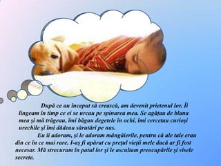 După ce au început să crească, am devenit prietenul lor. Îi lingeam în timp ce ei se urcau pe spinarea mea. Se agăţau de blana mea şi mă trăgeau, îmi băgau degetele în ochi, îmi cercetau curioşi urechile şi îmi dădeau sărutări pe nas. Eu îi adoram, şi le adoram mângâierile, pentru că ale tale erau din ce în ce mai rare. I-aş fi apărat cu preţul vieţii mele dacă ar fi fost necesar. Mă strecuram în patul lor şi le ascultam preocupările şi visele secrete. 