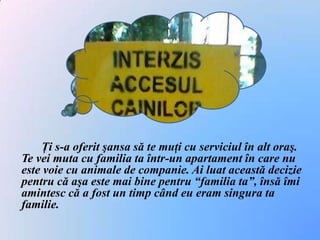 Ţi s-a oferit şansa să te muţi cu serviciul în alt oraş. Te vei muta cu familia ta într-un apartament în care nu este voie cu animale de companie. Ai luat această decizie pentru că aşa este mai bine pentru “familia ta”, însă îmi amintesc că a fost un timp când eu eram singura ta familie. 