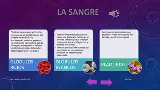 • También denominados eritrocitos
• Se encargan de la distribución del
oxígeno molecular (O2).
• Los hematíes tienen un pigmento
rojizo llamado hemoglobina que les
sirve para transportar el oxígeno
desde los pulmones a las células.
• INSUFICIENCIA = ANEMIA
GLODULOS
ROJOS
• También denominados leucocitos
tienen una destacada función en el
Sistema Inmunológico al efectuar
trabajos de limpieza (fagocitos) y
defensa (linfocitos).
• También producen anticuerpos que
neutralizan los microbios que
producen las enfermedades
infecciosas.
GLOBULOS
BLANCOS
• Son fragmentos de células muy
pequeños, sirven para taponar las
heridas y evitar hemorragias.
PLAQUETAS
4/28/2016PAULA ANDREA PRIETO LEÓN
 