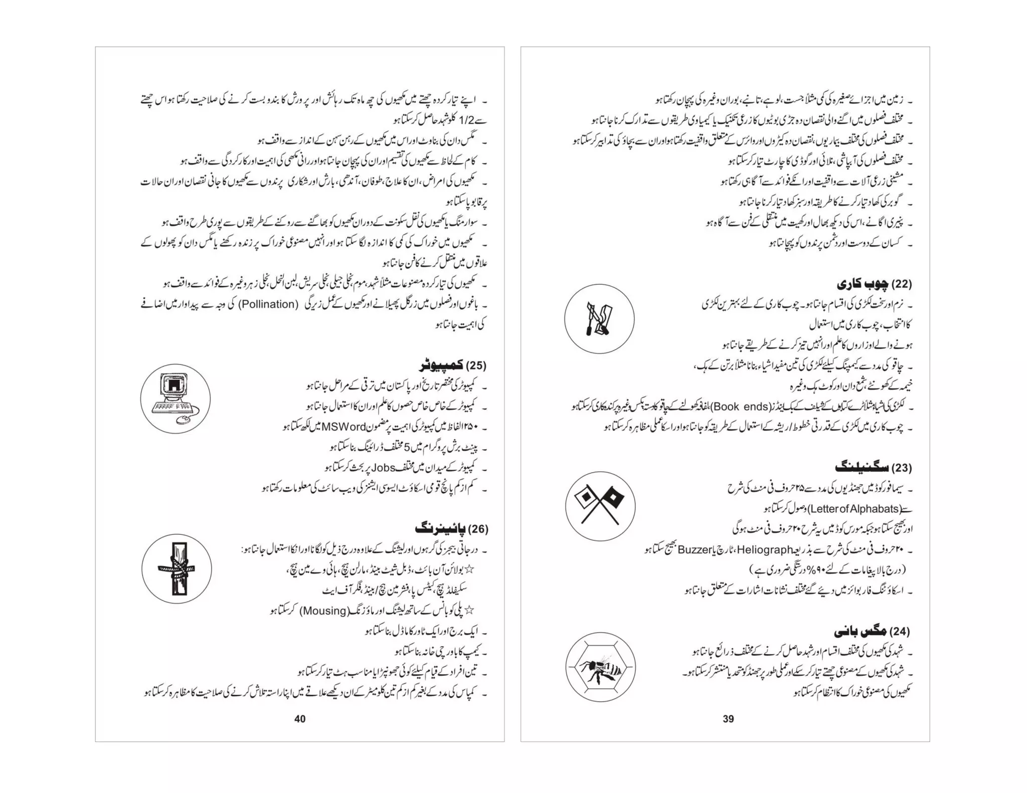 Prificiency badges course-handbook