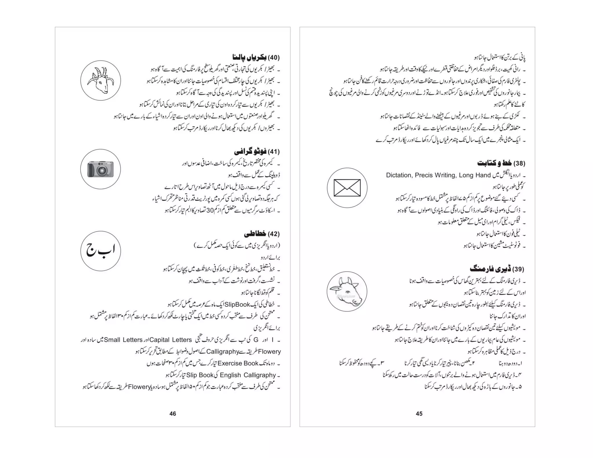 Prificiency badges course-handbook