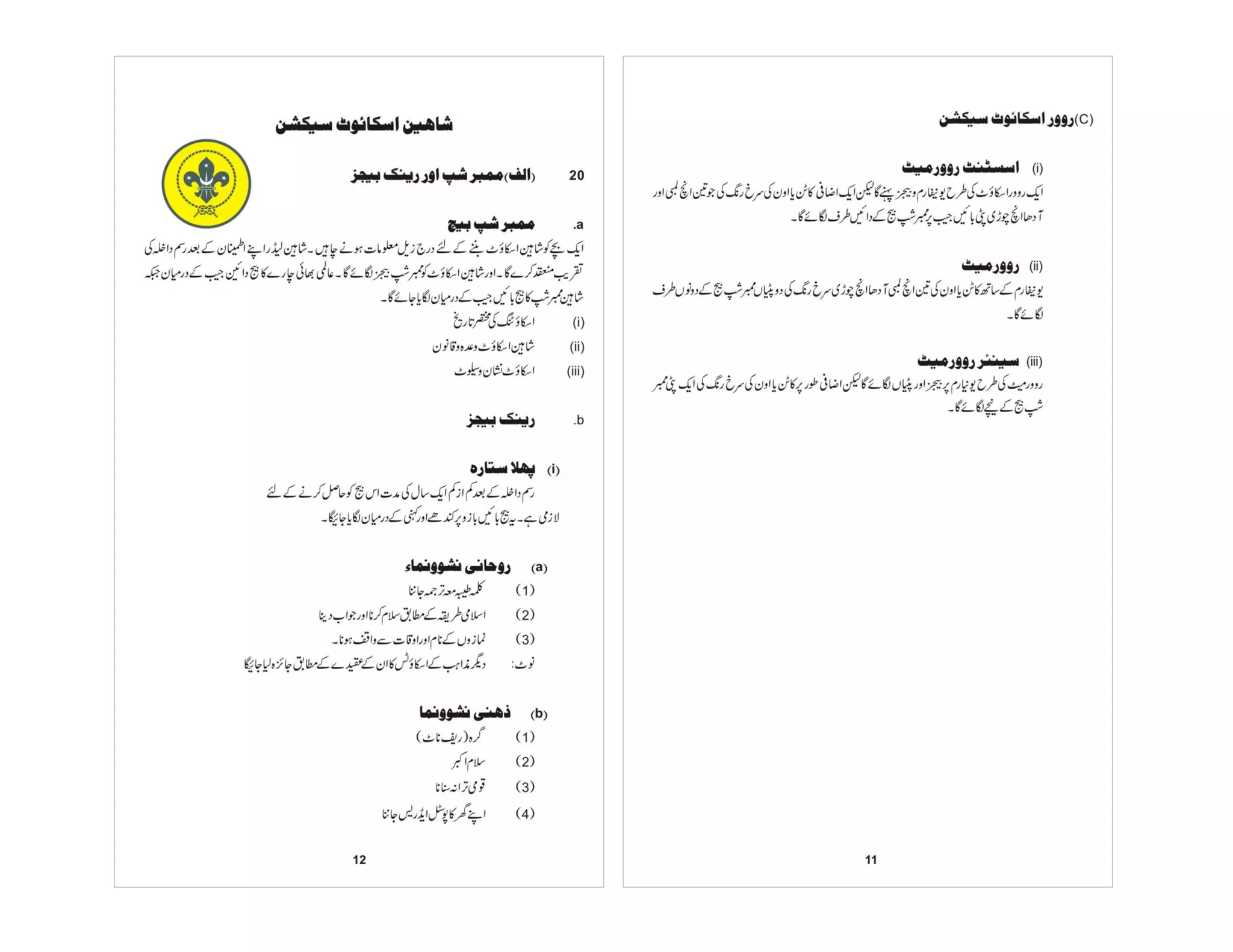 Prificiency badges course-handbook