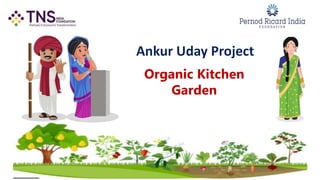 Organic Kitchen
Garden
 