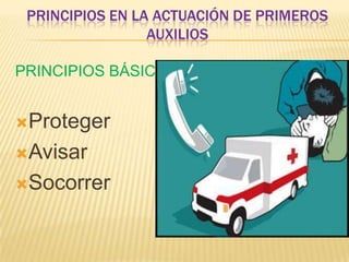 PRINCIPIOS EN LA ACTUACIÓN DE PRIMEROS AUXILIOSPRINCIPIOS BÁSICOSProtegerAvisarSocorrer
