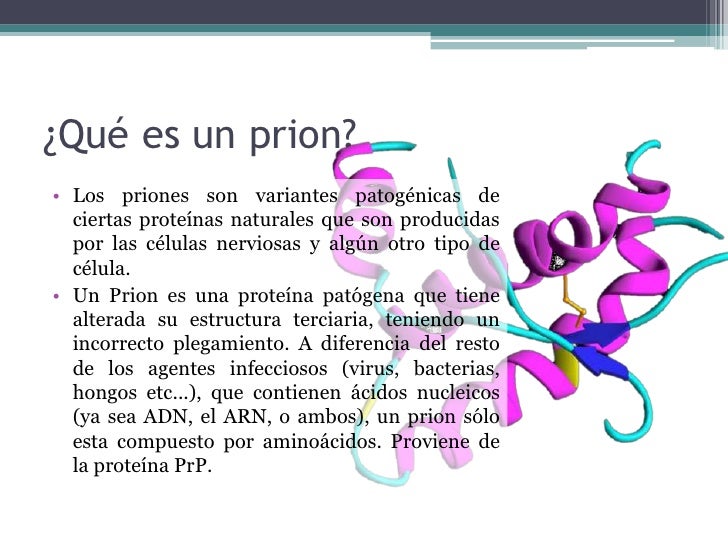 Resultado de imagen de prion virus