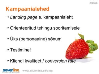 Priit Kallas Internetiturundusest 