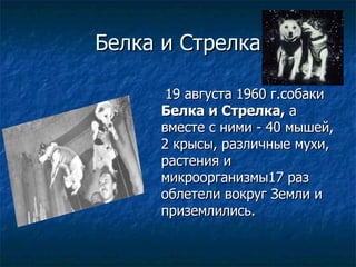 Белка и Стрелка <ul><li>19 августа 1960 г.собаки  Белка и Стрелка,  а вместе с ними - 40 мышей, 2 крысы, различные мухи, р...
