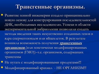 Трансгенные организмы.Трансгенные организмы.
 Развитие генной инженерии создало принципиальноРазвитие генной инженерии создало принципиально
новую основу для конструирования последовательностейновую основу для конструирования последовательностей
ДНК, необходимых исследователю. Успехи в областиДНК, необходимых исследователю. Успехи в области
экспериментальной эмбриологии позволили создатьэкспериментальной эмбриологии позволили создать
методы введения таких искусственно созданных генов вметоды введения таких искусственно созданных генов в
ядра сперматозоидов или яйцеклеток. В результатеядра сперматозоидов или яйцеклеток. В результате
возникла возможность получениявозникла возможность получения трансгенныхтрансгенных
организмоворганизмов (или генетически модифицированных(или генетически модифицированных
организмов (ГМО))–т.е. организмов, содержащихорганизмов (ГМО))–т.е. организмов, содержащих
трансгенытрансгены
 Не путать с модифицированными продуктами!!!Не путать с модифицированными продуктами!!!
 Модифицированный крахмал - НЕ ОРГАНИЗМ!!!Модифицированный крахмал - НЕ ОРГАНИЗМ!!!
 