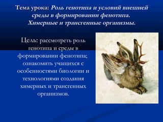 Тема урока:Тема урока: Роль генотипа и условий внешней
среды в формировании фенотипа.
Химерные и трансгенные организмы.
Цель:Цель: рассмотреть роль
генотипа и среды в
формировании фенотипа; 
ознакомить учащихся с
особенностями биологии и
технологиями создания
химерных и трансгенных
организмов.
 