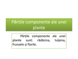 Părțile componente ale unei
plante
Părțile componente ale unei
plante sunt: rădăcina, tulpina,
frunzele și florile.
 