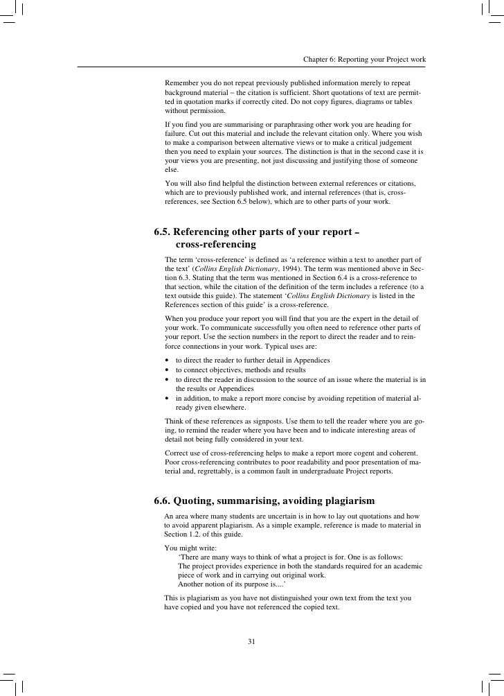 prilimanary project report