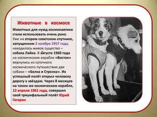 Животные в космосе
Животных для нужд космонавтики
стали использовать очень рано.
Уже на втором советском спутнике,
запущенном 3 ноября 1957 года,
находилось живое существо –
собака Лайка. В августе 1960 года
на космическом корабле «Восток»
вернулись из суточного
космического путешествия две
собаки – «Белка и Стрелка». Их
успешный полёт открыл человеку
дорогу к звёздам. Через 8 месяцев
на таком же космическом корабле,
12 апреля 1961 года, совершил
свой триумфальный полёт Юрий
Гагарин
 