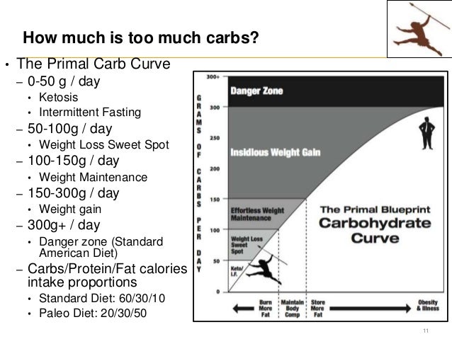 Paleo / Primal Lifestyle 101