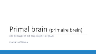 Primal brain (primaire brein)
HOE BEÏNVLOEDT DIT ONS (ONLINE) GEDRAG?
ERWIN SIGTERMAN
 