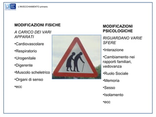 MODIFICAZIONI FISICHE A CARICO DEI VARI APPARATI Cardiovascolare Respiratorio Urogenitale Digerente Muscolo scheletrico Organi di senso ecc MODIFICAZIONI PSICOLOGICHE RIGUARDANO VARIE SFERE Interazione Cambiamento nei rapporti familiari, vedovanza Ruolo Sociale Memoria Sesso Isolamento ecc L’INVECCHIAMENTO primario 