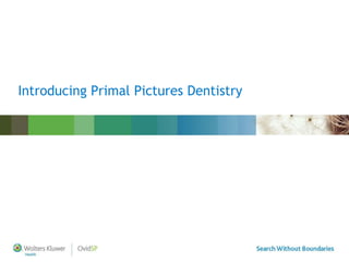 Introducing Primal Pictures Dentistry 
 