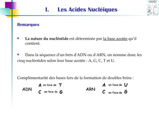 Les Acides Nucléiques Remarques La nature du nucléotide  est déterminée par  la base azotée  qu’il contient.  Dans la séquence d'un brin d'ADN ou d'ARN, on nomme donc les  cinq nucléotides selon leur base azotée : A, G, C, T et U.  Complémentarité des bases lors de la formation de doubles brins : 