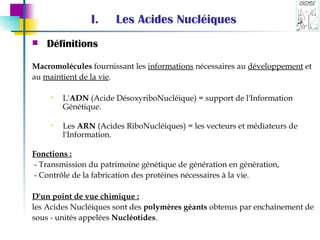 Les Acides Nucléiques Définitions Macromolécules  fournissant les  informations  nécessaires au  développement  et  au  maintient de la vie . L' ADN  (Acide DésoxyriboNucléique) = support de l'Information Génétique.  Les  ARN  (Acides RiboNucléiques) = les vecteurs et médiateurs de l'Information.   Fonctions : - Transmission du patrimoine génétique de génération en génération, - Contrôle de la fabrication des protéines nécessaires à la vie. D'un point de vue chimique : les Acides Nucléiques sont des  polymères géants  obtenus par enchaînement de sous - unités appelées  Nucléotides . 