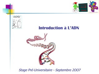 Introduction à L’ADN 
