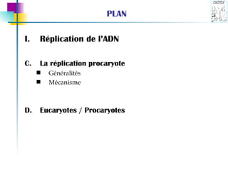 PLAN Réplication de l’ADN La réplication procaryote  Généralités Mécanisme Eucaryotes / Procaryotes 