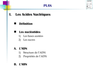 PLAN Les Acides Nucléiques Définition Les nucléotides Les bases azotées Les sucres L’ADN Structure de l’ADN Propriétés de l’ADN L’ARN 