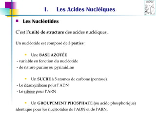 Les Acides Nucléiques Les Nucléotides C’est  l’unité de structure  des acides nucléiques. Un nucléotide est composé de  3 parties  : Une  BASE AZOT É E - variable en fonction du nucléotide - de nature  purine  ou  pyrimidine Un  SUCRE  à 5 atomes de carbone (pentose) - Le  désoxyribose  pour l’ADN  - Le  ribose  pour l’ARN Un  GROUPEMENT PHOSPHATE  (ou acide phosphorique) identique pour les nucléotides de l'ADN et de l'ARN. 